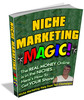 Thumbnail  Niche Marketing Magic