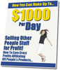 Thumbnail  How You Can Make Up To $1000 Per Day