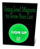 Thumbnail Using Lead Magnets To Grow Your List Thumbnail Using Lead Magnets To Grow Your List