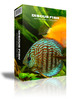 Thumbnail  Discus Fish Instant Mobile Video Site