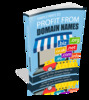 Thumbnail  Simple Ways To Profit From Domain Names
