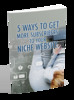 Thumbnail  5 Ways To Get More Subscribers To Your Niche Website