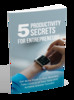 Thumbnail  5 Productivity Secrets For Entrepreneurs