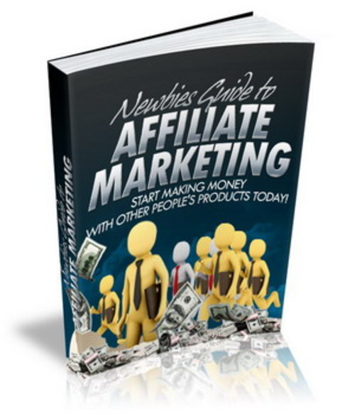 Product picture Newbies Guide To Affliate Marketing