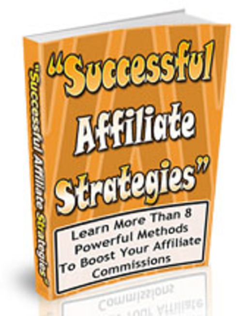 Product picture  Successful Affiliate Strategies