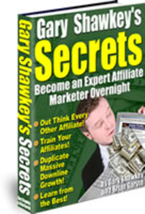 Product picture  Becoming An Expert Affiliate Marketer Overnight