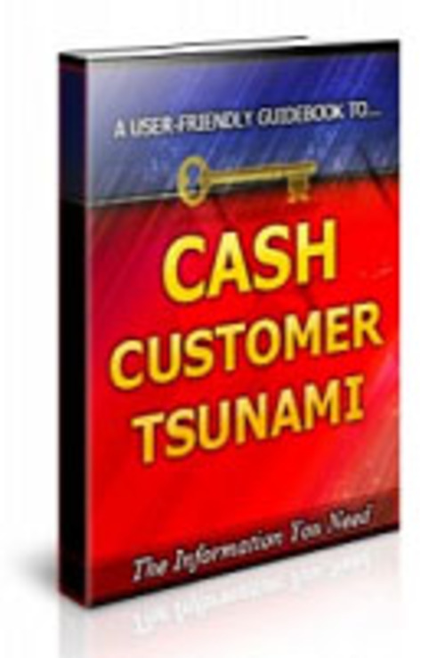 Product picture  Cash Customer Tsunami