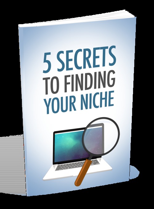 Product picture  5 Secrets To Finding Your Niche