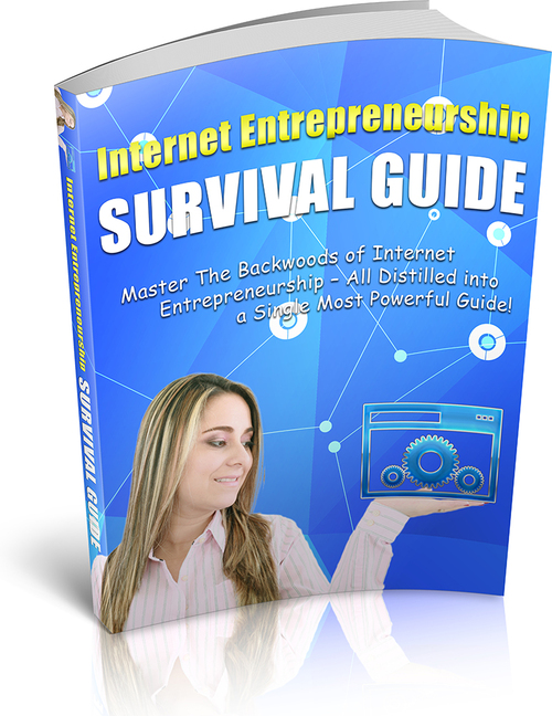 Product picture  Internet Entrepreneurship Survival Guide