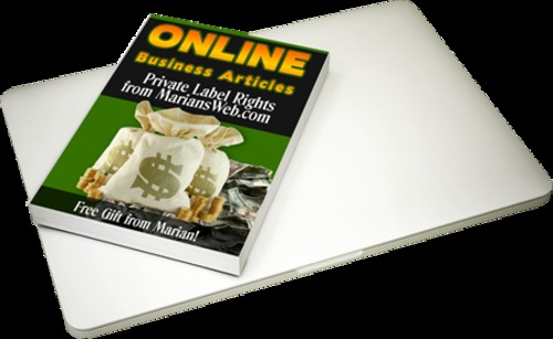 Product picture  10 Online Business Articles