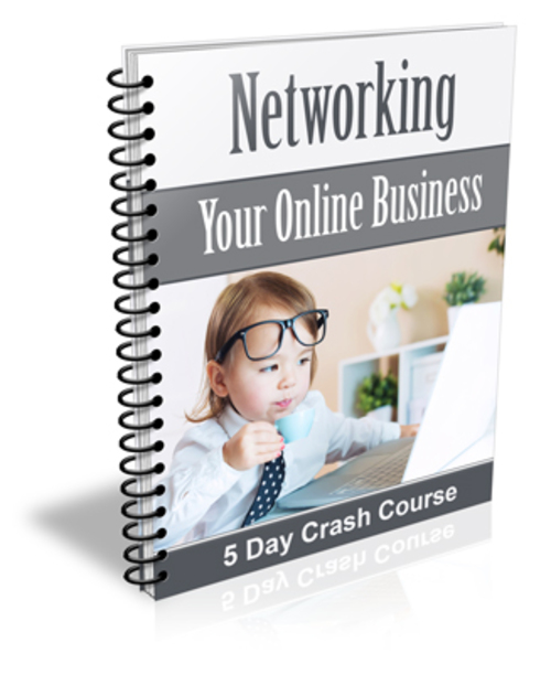 Product picture  Networking Your Online Business