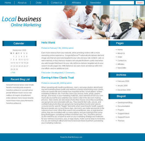 Product picture  Local Business Online Marketing WP Theme