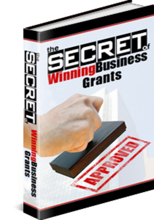 Product picture  The Secret Of Winning Business Grants