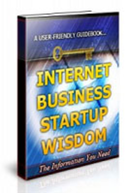 Product picture  Internet Business Startup Wisdom