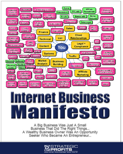 Product picture  Internet Business Manifesto