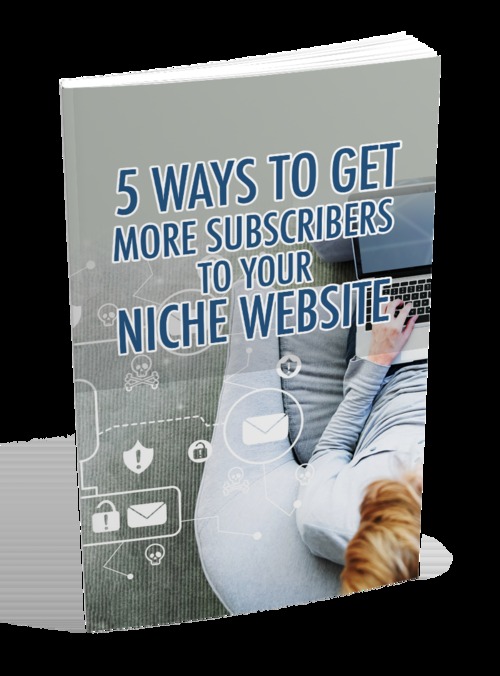 Product picture  5 Ways To Get More Subscribers To Your Niche Website