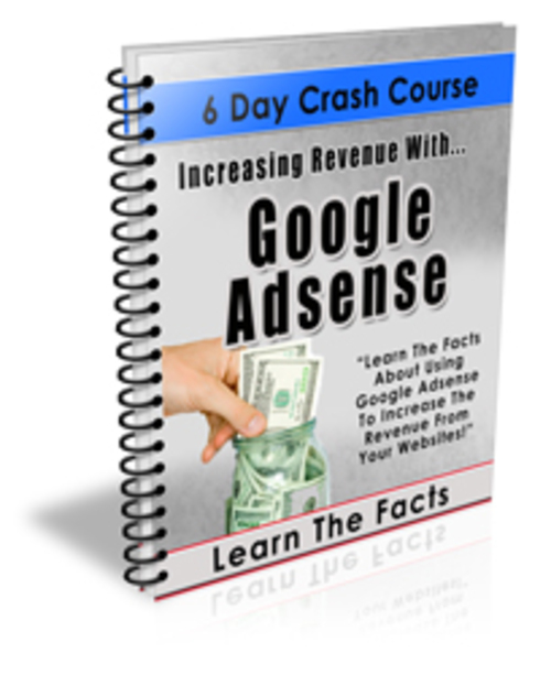 Product picture  Increasing Revenue With Google Adsense