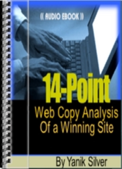 Product picture 14 Point Web Copy Analysis