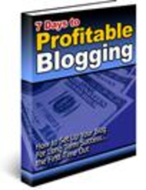 Product picture 7 Days To Profitable Blogging
