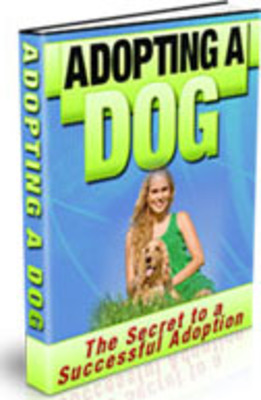 Product picture Adopting A Dog