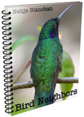 Product picture Bird Neighbors