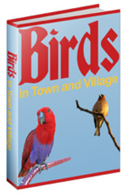 Product picture Birds In Town and Village